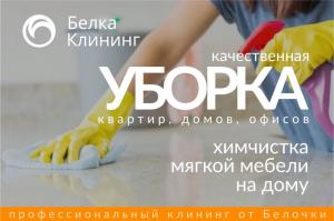 Фотография Белка Клининг 2