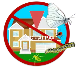 Фотография Агра 0